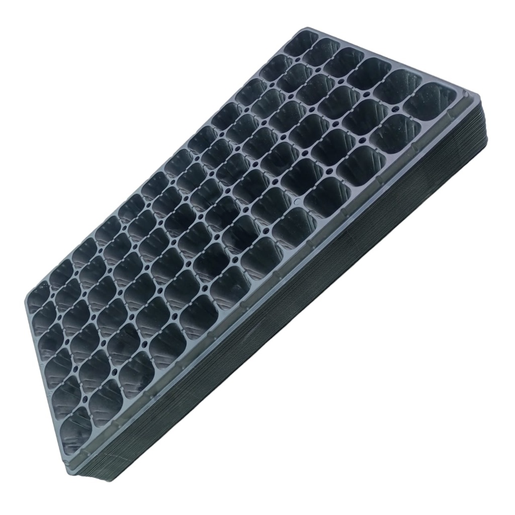 SEEDS TRAYS