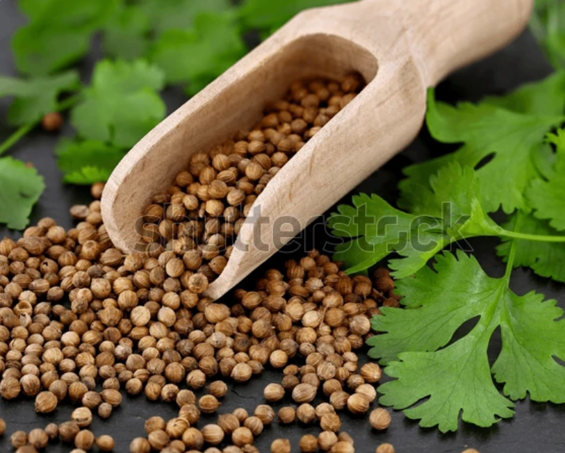 Coriander Seeds 1kg